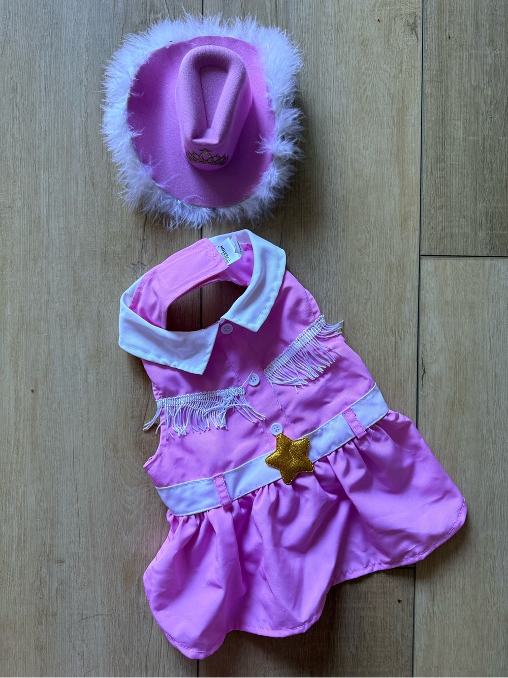 Doggy Parton dog costume
